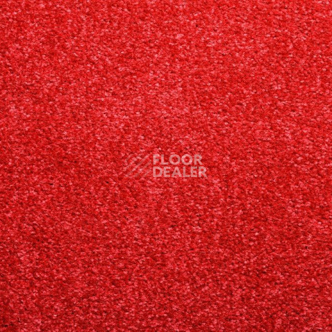 Ковролин Condor Carpets Bologna 20 фото 1 | FLOORDEALER